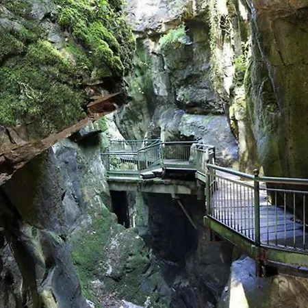 Trilly House Perledo