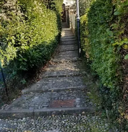 Apartament Trilly House