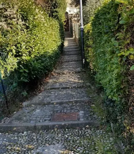 Apartman Trilly House